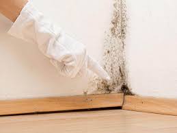 Mold Remediation for Vacation Homes in Kildeer, IL